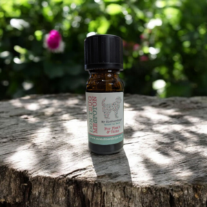 Natural Flea and Tick Spot-On 10ml